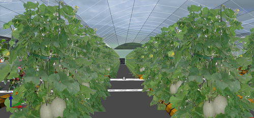 45亩雾培蔬菜工厂及鸟巢温室型科普观光园设计规划