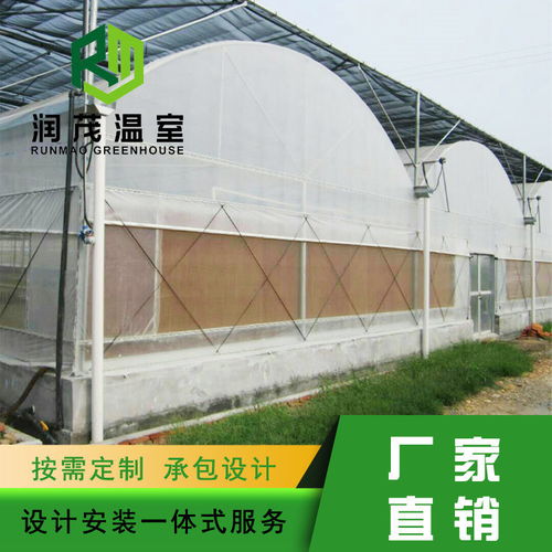 新型温室大棚设计规格齐全 润茂温室工程