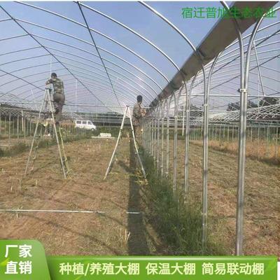 室内种植棚 新型温室大棚 联动养猪棚 实力工厂