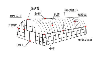 室内种植棚 新型温室大棚 联动养猪棚 实力工厂