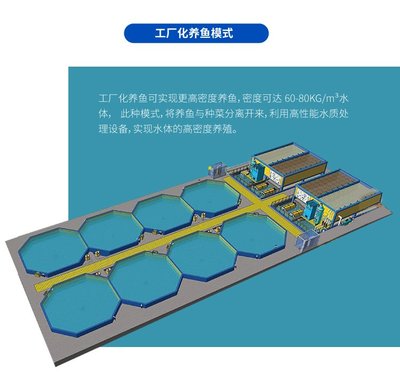 鱼菜共生水循环系统设计 鱼菜鱼池共生大棚建造 渔菜鲜森无土栽培