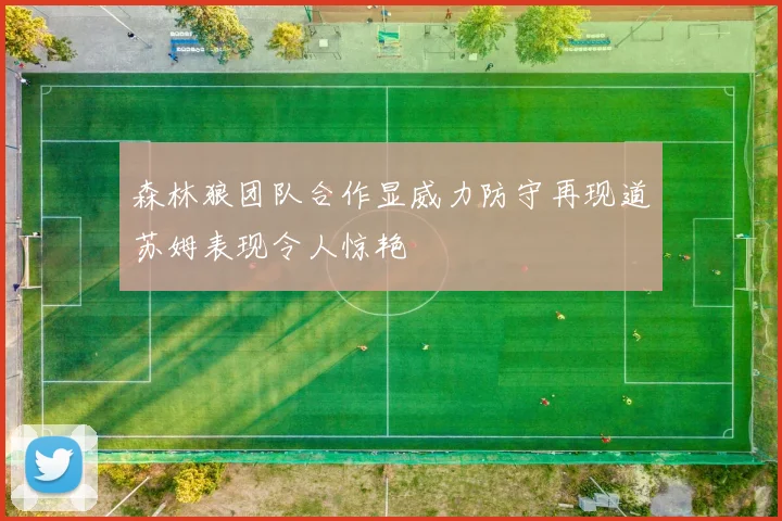 森林狼团队合作显威力防守再现道苏姆表现令人惊艳