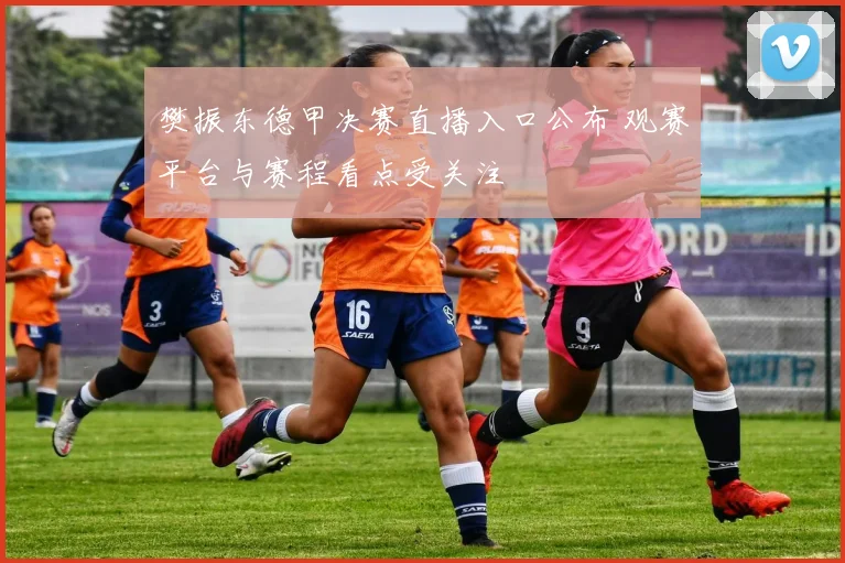 樊振东德甲决赛直播入口公布 观赛平台与赛程看点受关注