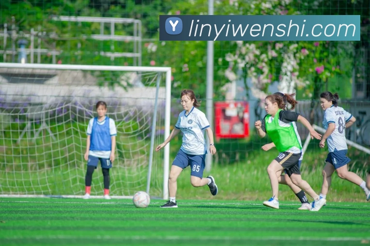 九游j9官方平台全站App